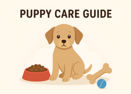 puppy care guide