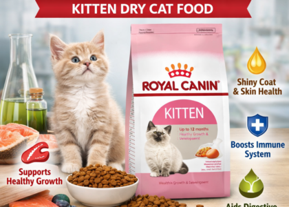 royal canin feline health nutrition kitten dry cat foo