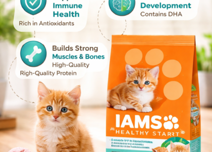 iams proactive health kitten