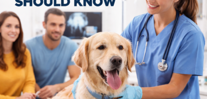 veterinary urgent care