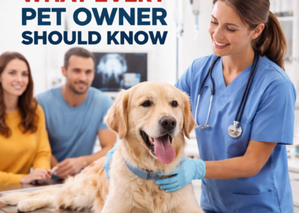 veterinary urgent care